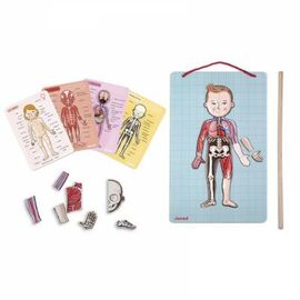 Игровой набор Janod Тело человека (J05491)