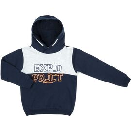 Кофта Breeze с капюшоном (12025-128B-gray)