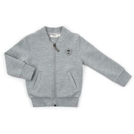 Кофта на молнии Breeze (13593-92B-gray)