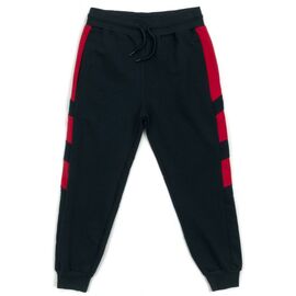 Штани дитячі Breeze спортивні з червоними вставками (13967-152B-blue)