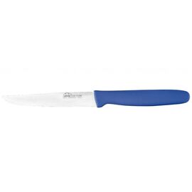 Кухонний ніж Due Cigni Steak Knife 11 см Blue (713/11B)