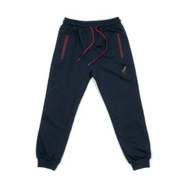 Штаны детские Joi спортивные (C-226-140B-blue)