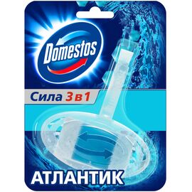 Туалетный блок Domestos Атлантик 40 г (8717163006085)