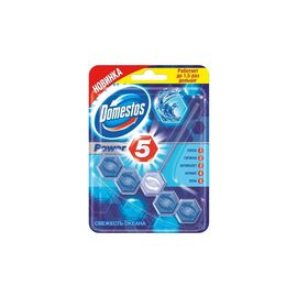 Туалетный блок Domestos Power 5 Свежесть океана 55 г (8710908551154)