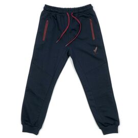 Штаны детские Joi спортивные (C-321-176B-blue)