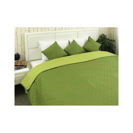 Покрывало Руно Двустороннее Леон 220х240 см (330.52У_Леон)