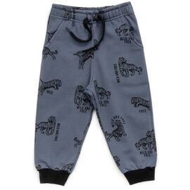 Штаны детские Breeze спортивные на флисе (16694-92B-gray)