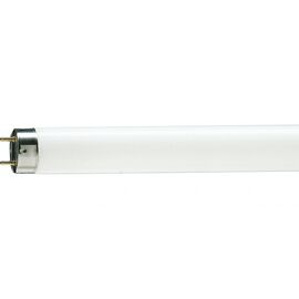 Лампочка Philips TL-D G13 1500mm 58W/33-640 1SL/25 (928049003351)