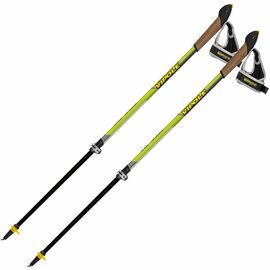Палки для скандинавской ходьбы Vipole Instructor Vario QL Green DLX S2028 (928537)