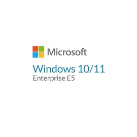 Операционная система Microsoft Windows 10/11 Enterprise E5 P1Y Annual License (CFQ7TTC0LFNW_0002_P1Y_A)