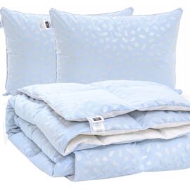 Одеяло MirSon Набор №2163 Bio-Blue Зима 90% одеяло 155х215+подушки (2200003025354)
