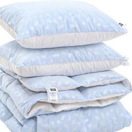 Одеяло MirSon Набор №2165 Bio-Blue Зима 90% пух одеяло 140х205+подушки (2200003022391)