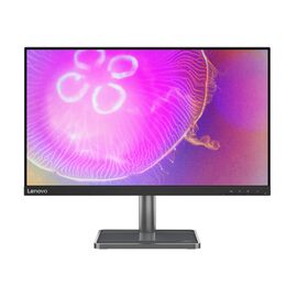 Монитор Lenovo L24Q-35 (66D1GAC1UA)