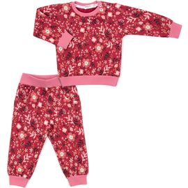 Набор детской одежды Breeze на флисе (17306-104G-red)