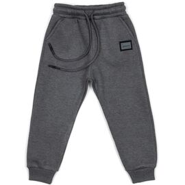 Штани дитячі Cloise на флісі (CL0155013-104-gray)