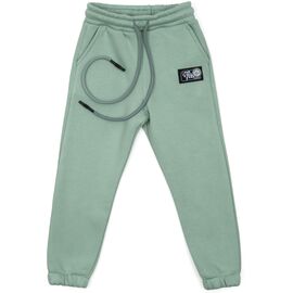Штаны детские Cloise флисовые (CL0154024-140G-green)