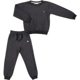 Спортивный костюм Breeze с эмблемой (18239-116B-gray)