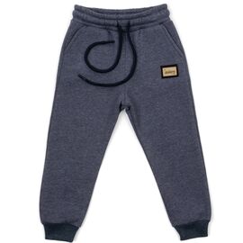 Штаны детские Cloise флисовые (CL0155013-128B-gray)