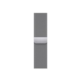 Ремешок для смарт-часов Apple 41mm Silver Milanese Loop (ML753ZM/A)