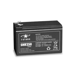 Батарея к ИБП EverExceed SHR250 12V-9Ah (SHR250)