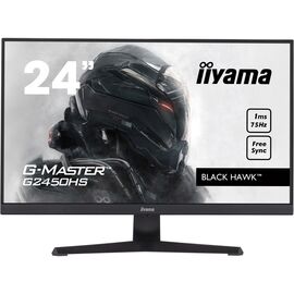 Монитор iiyama G2450HS-B1