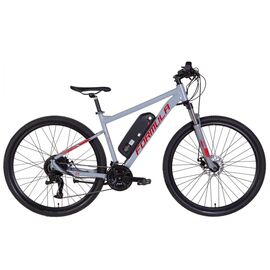 Электровелосипед Formula 29" F-1 2022 Grey (ELB-FR-29-127)