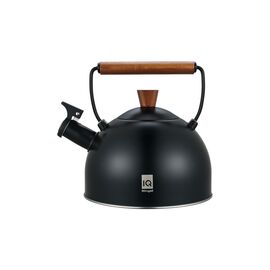 Чайник Ringel IQ Вe Natural 2.5 л (IQ-1001)