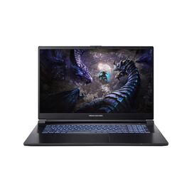 Ноутбук Dream Machines G1650-17 (G1650-17UA96)