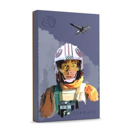 Внешний жесткий диск 2.5" 2TB Luke Skywalker FireCuda Gaming Drive Seagate (STKL2000412)