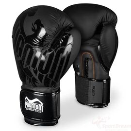 Боксерські рукавички Phantom Germany Eagle Black 16oz (PHBG2323-16)