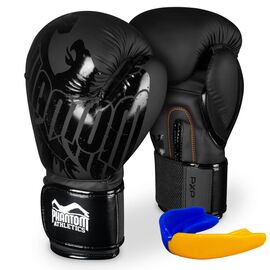 Боксерские перчатки Phantom Germany Eagle Black 10oz (PHBG2323-10)