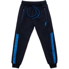 Штаны детские Joi спортивные (C-270-152B-blue)