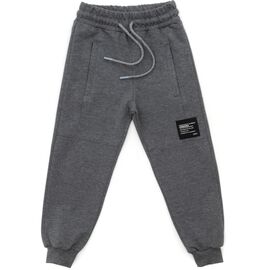 Штаны детские Joi спортивные (A-190-116B-gray)