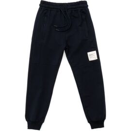 Штаны детские Joi спортивные (A-290-134B-blue)