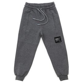 Штаны детские Joi спортивные (A-390-170B-gray)
