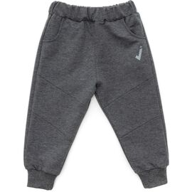 Штаны детские Joi спортивные (S-515-92B-gray)