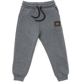 Штаны детские Cloise спортивные флисовые (CL0155019-140B-gray)