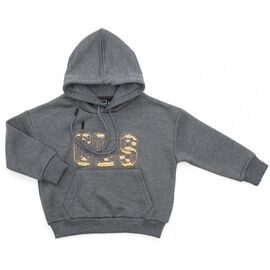Кофта Cloise худи CLS (CL0115009-116B-gray)