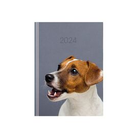 Еженедельник Economix датированный 2024 COLOR, А5 (E21841)