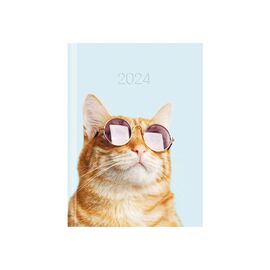 Еженедельник Economix датированный 2024 COLOR, А5 (E21843)