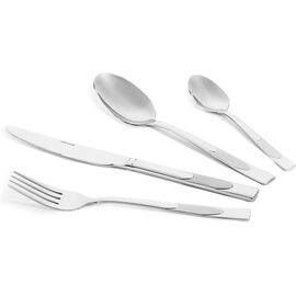 Набор столовых приборов Ardesto Gemini Leo 24 предмета (AR1924LES)