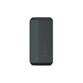 Акустическая система Sony SRS-XE300 Black (SRSXE300B.RU2)