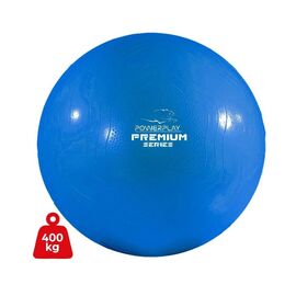 М'яч для фітнесу PowerPlay 4000 Premium 65см Blue + насос (PP_4000_65cm_Blue)