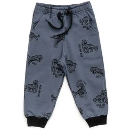 Штаны детские Breeze спортивные на флисе (16694-104B-gray)
