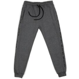 Штаны детские Joi на флисе (B-404-170B-gray)