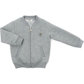 Кофта Breeze на молнии (18292-104B-gray)