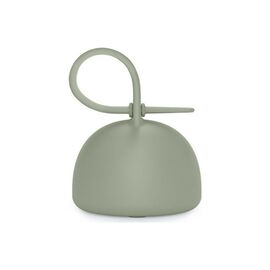 Контейнер для пустушок Suavinex Colour Essence силіконовий, зелений (401536)