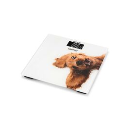 Весы напольные Zelmer 60705631P