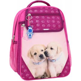 Рюкзак шкільний Bagland Відмінник 20 л. 143 малина 118 д (0058070) (4182711)