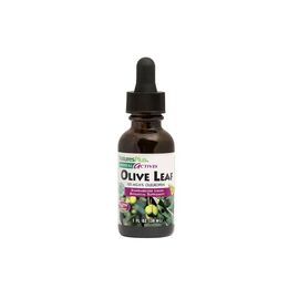 Трави Natures Plus Листя оливи, екстракт у краплях без спирту, Olive Leaf, 30 мл (NAP-07849)
